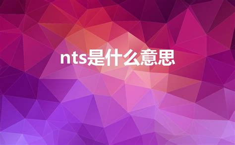 nts 意思 後悔裝潢